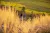 Placeholder image for Kakadu triumphs in NT Tourism Awards