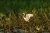 Placeholder image for Kakadu Bird Week 2017
