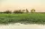 Placeholder image for Yellow Water Excursion