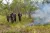 Placeholder image for Kakadu Cultural Burning: Cleaning Country!