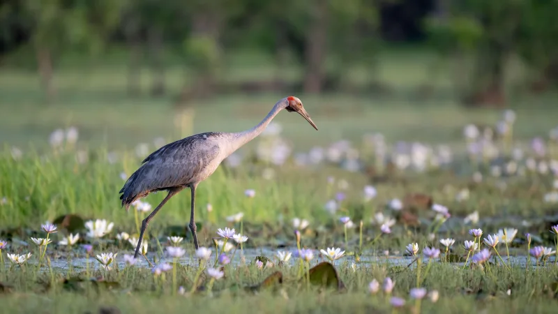 kakadu national park virtual tour