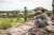 Placeholder image for Walk Through Kakadu on Google Street View