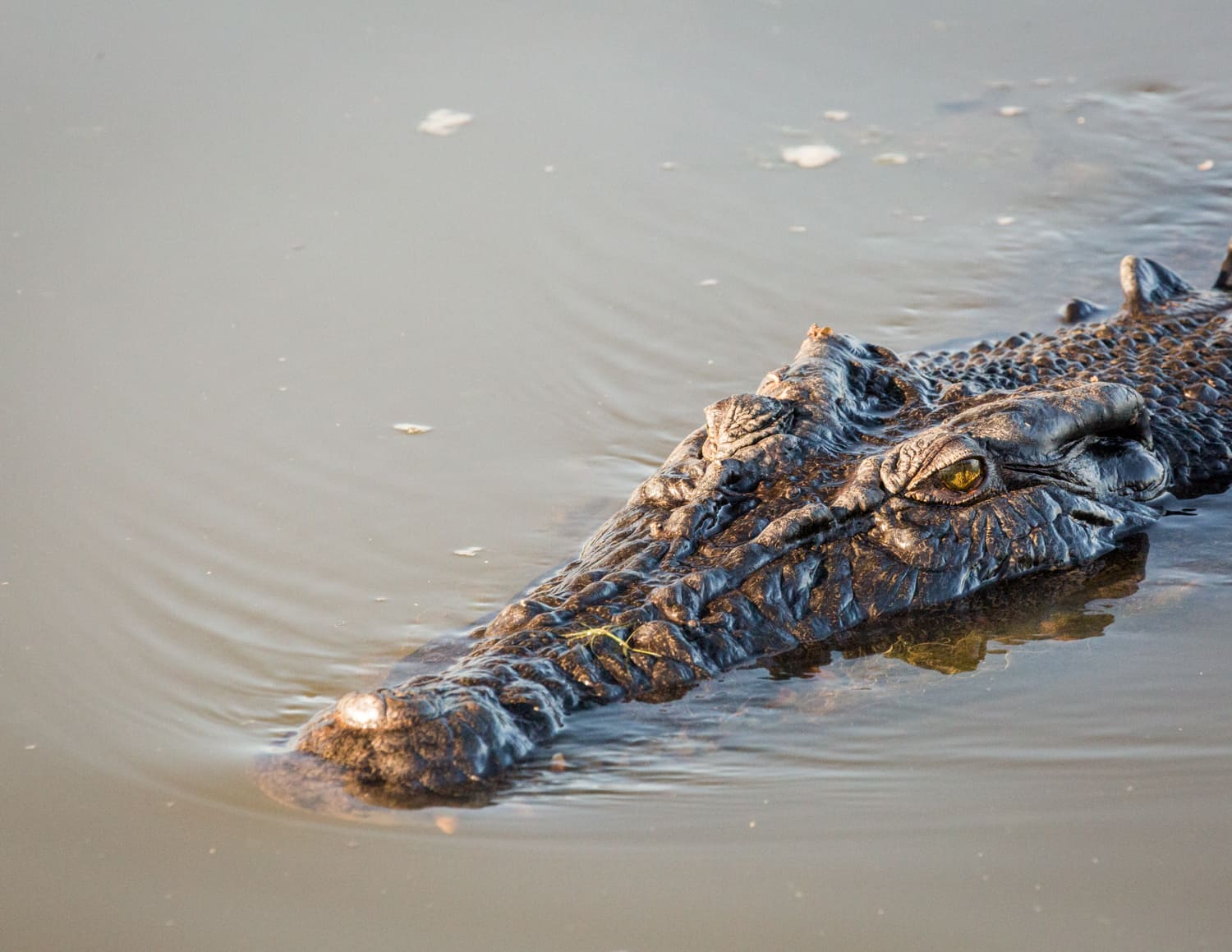 Kakadu National Park | Explore Kakadu